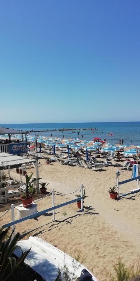 Villa Giuliana Stanze Con Bagno Interno In Villa A 350 Mt Spiaggia Libera Lido Delle Sirene 安齐奥 外观 照片