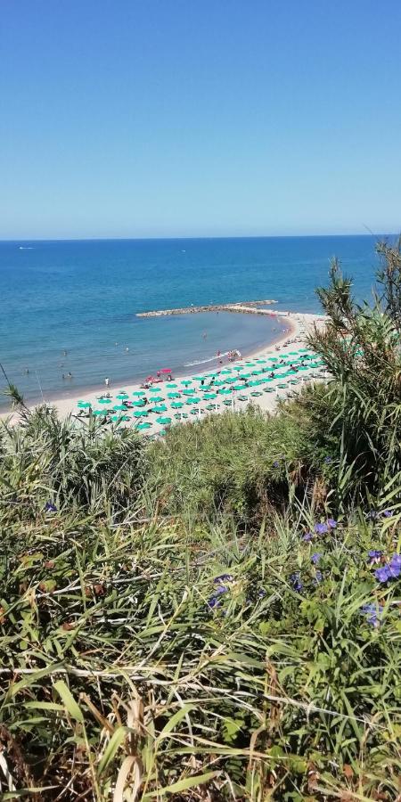 Villa Giuliana Stanze Con Bagno Interno In Villa A 350 Mt Spiaggia Libera Lido Delle Sirene 安齐奥 外观 照片