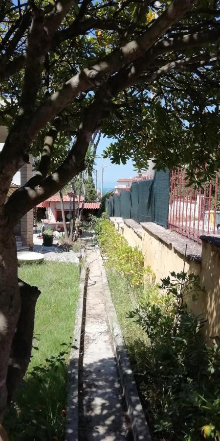 Villa Giuliana Stanze Con Bagno Interno In Villa A 350 Mt Spiaggia Libera Lido Delle Sirene 安齐奥 外观 照片