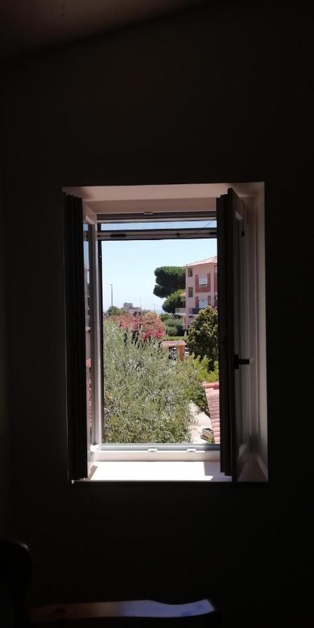 Villa Giuliana Stanze Con Bagno Interno In Villa A 350 Mt Spiaggia Libera Lido Delle Sirene 安齐奥 外观 照片