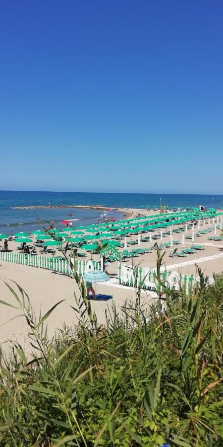 Villa Giuliana Stanze Con Bagno Interno In Villa A 350 Mt Spiaggia Libera Lido Delle Sirene 安齐奥 外观 照片