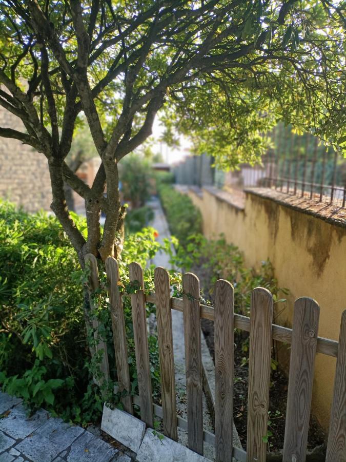 Villa Giuliana Stanze Con Bagno Interno In Villa A 350 Mt Spiaggia Libera Lido Delle Sirene 安齐奥 外观 照片